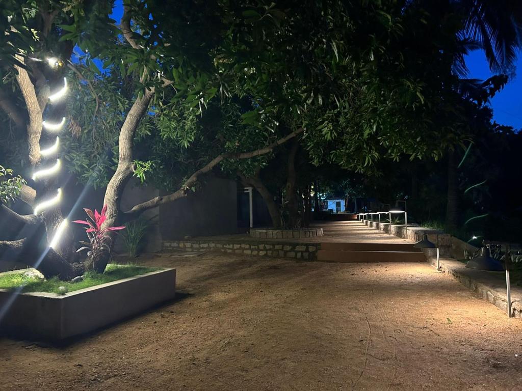 Hampi Village Resort & Tutti Cafe photo