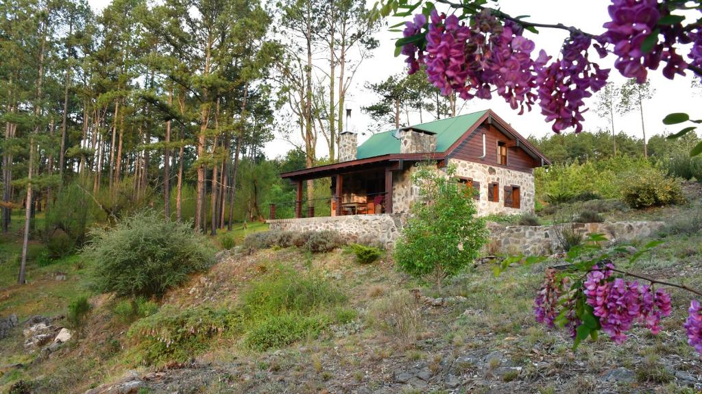Cabaña villa alpina Mantillo de bosque