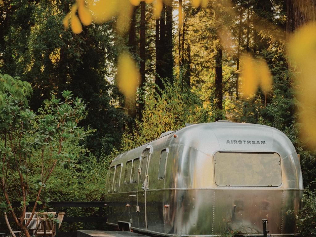 a train traveling down the tracks in a forest at AutoCamp Yosemite in Midpines