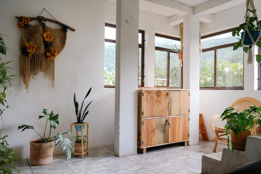 a room with plants and a wooden door at 4 Elementos Hostal in San Juan La Laguna