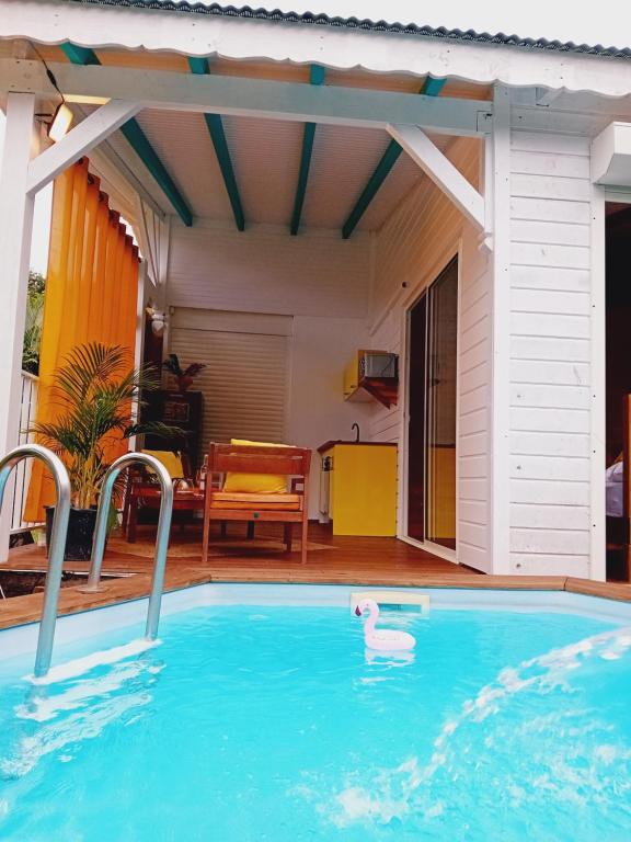 una piscina con un cisne en el agua en Le Rayon de soleil, en Deshaies