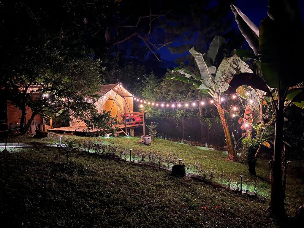 a garden at night with a tent with lights at Glamping Colibrí, bosque vecino y vista a la montaña al mismo tiempo in Jardin