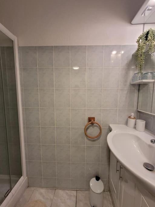 Koupelna v ubytování Cosy appartement Embrun centre