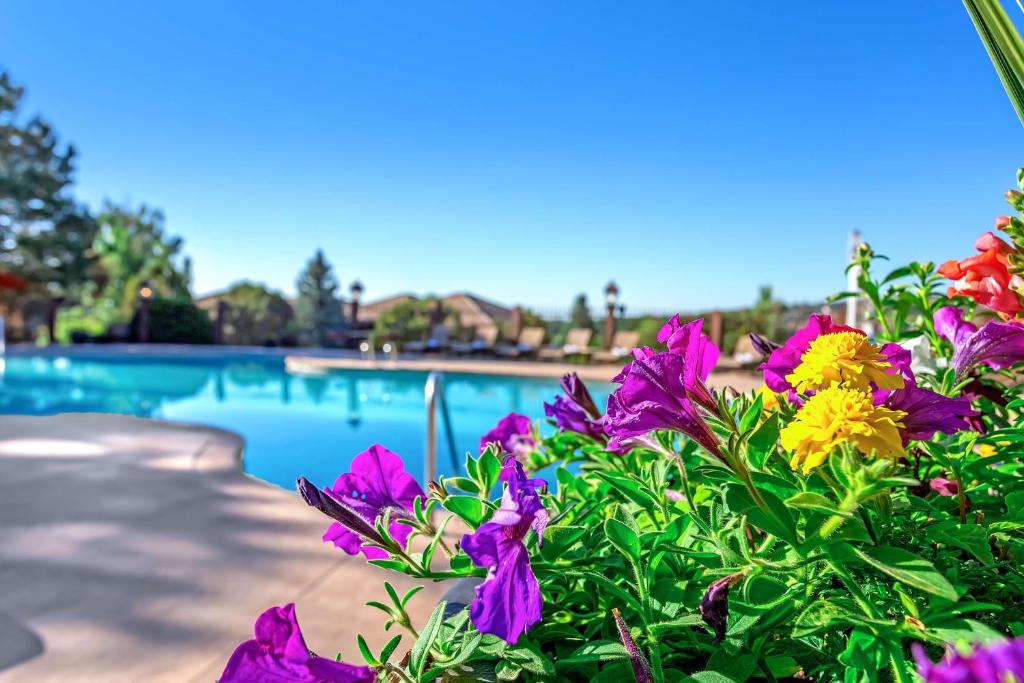 Bazén v ubytování Cheyenne Mountain Resort, a Destination by Hyatt Hotels nebo v jeho okolí