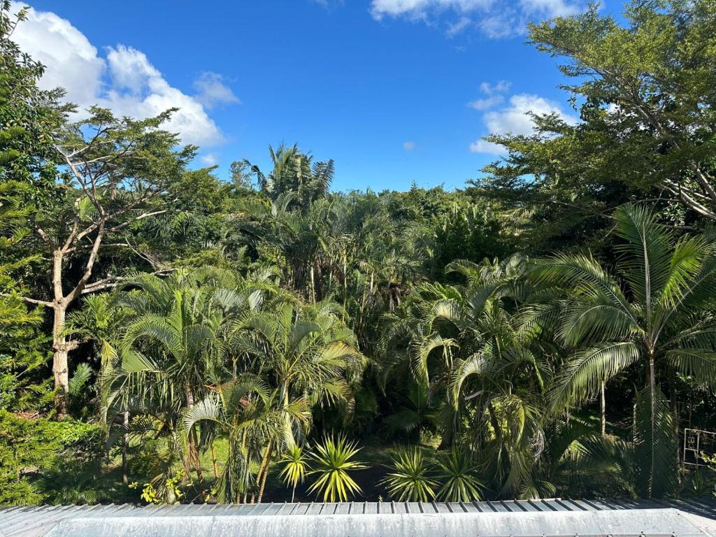 Příroda nedaleko bed and breakfast