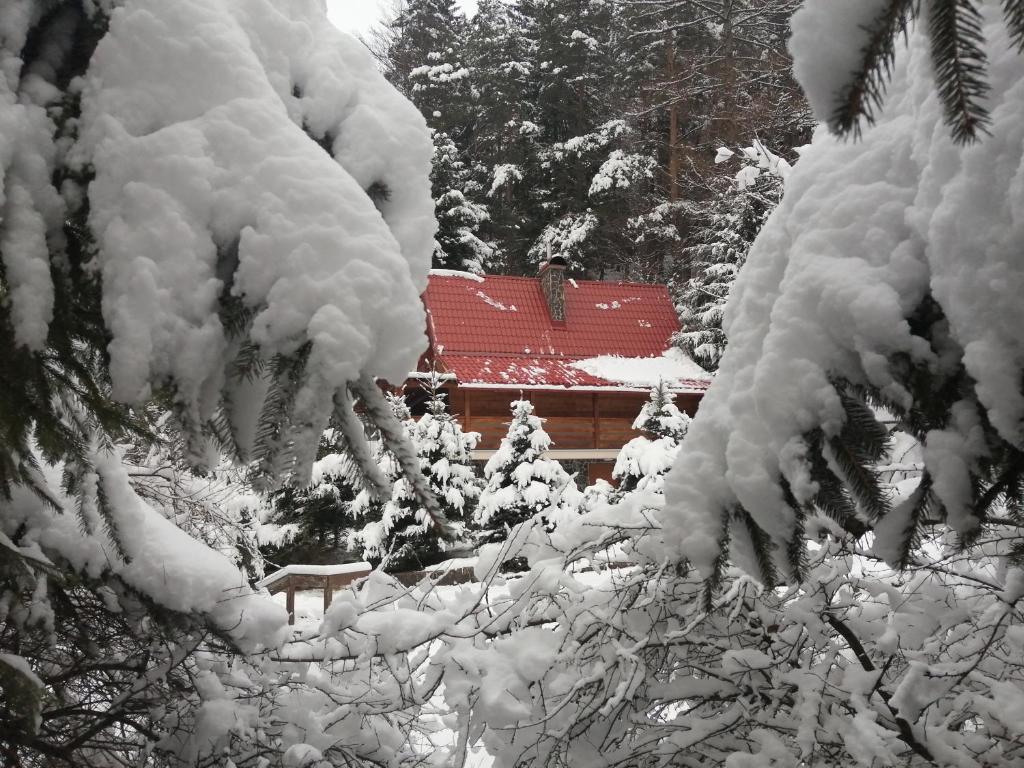 Rajecká chata v zimě