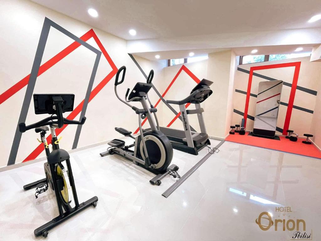 Fitness centrum a/nebo fitness zařízení v ubytování Hotel Orion Tbilisi