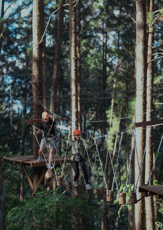 Zahrada ubytování W15 Ambuluwawa