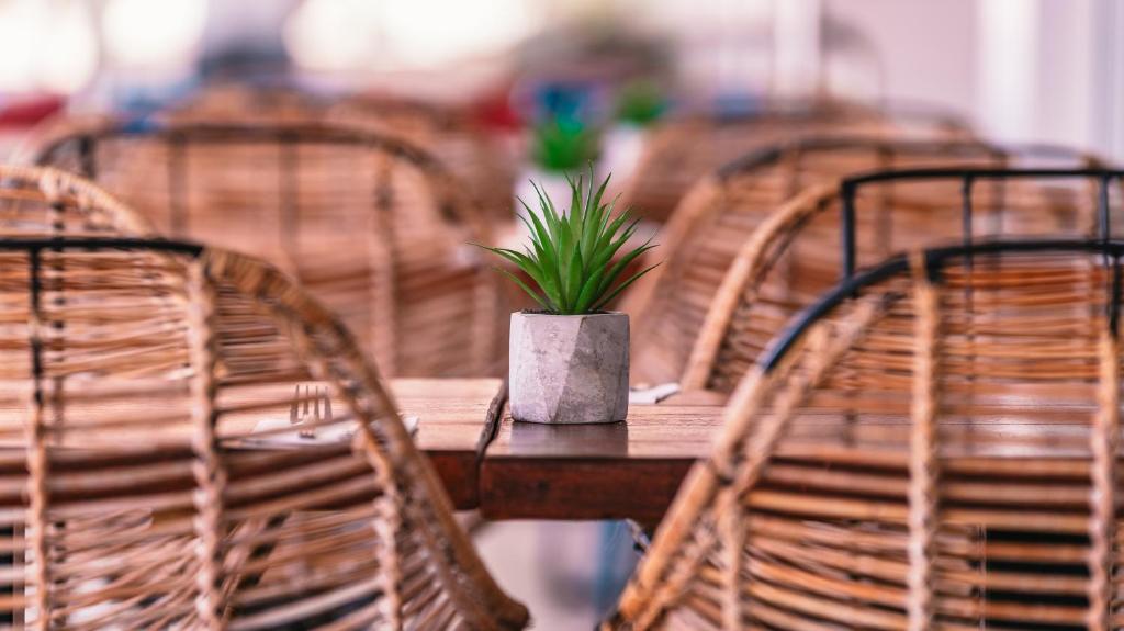 Fotografie z fotogalerie ubytování Labranda Alyssa Suite Hotel v destinaci Playa Blanca