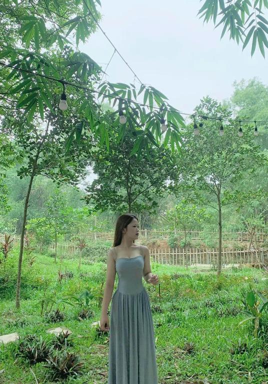 Zahrada ubytování Homestay Bài Văn garden