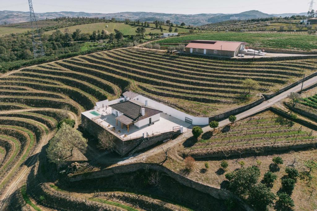 an aerial view of a house in a vineyard at Feel Discovery Quinta do Muro Douro Valley in Peso da Régua