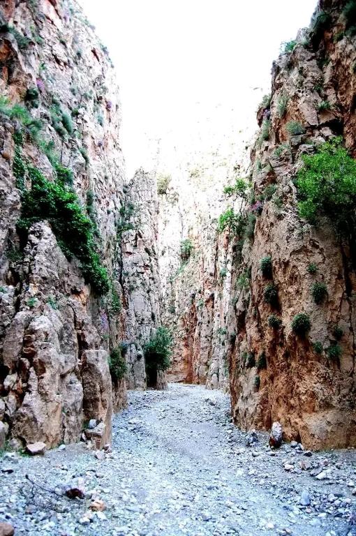 المناظر الطبيعية بالقرب من الفندق