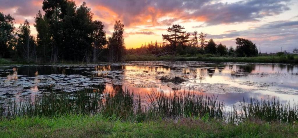 un riflesso del tramonto in uno stagno di Varykino Estate a Knysna