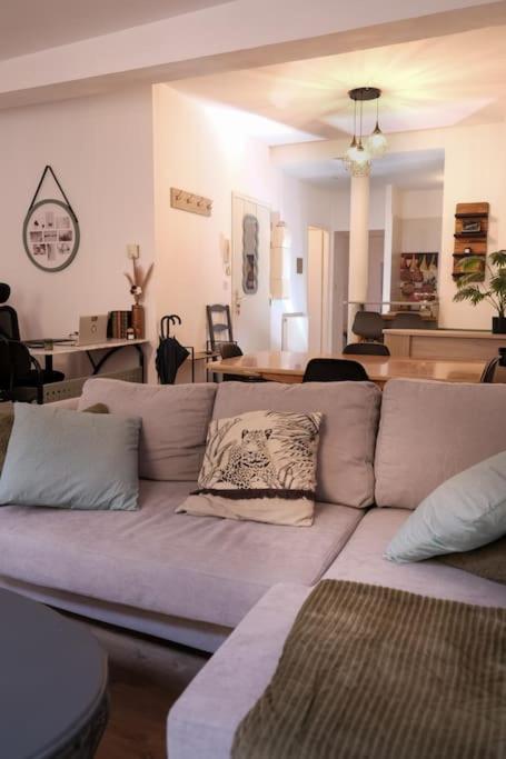 - un salon avec un canapé et des oreillers dans l'établissement Lit King Size Trés Cosy Hyper Centre de Foix Calme, à Foix