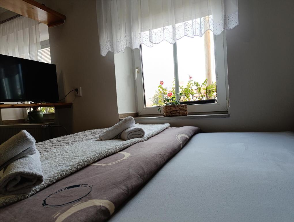 U Bocmana s výhledem na zámek a Labe - 12