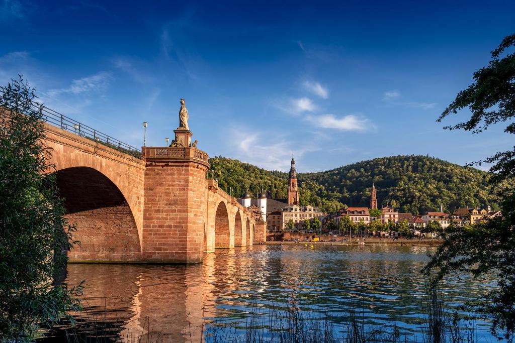 Hotel Goldene Rose - Resim 6