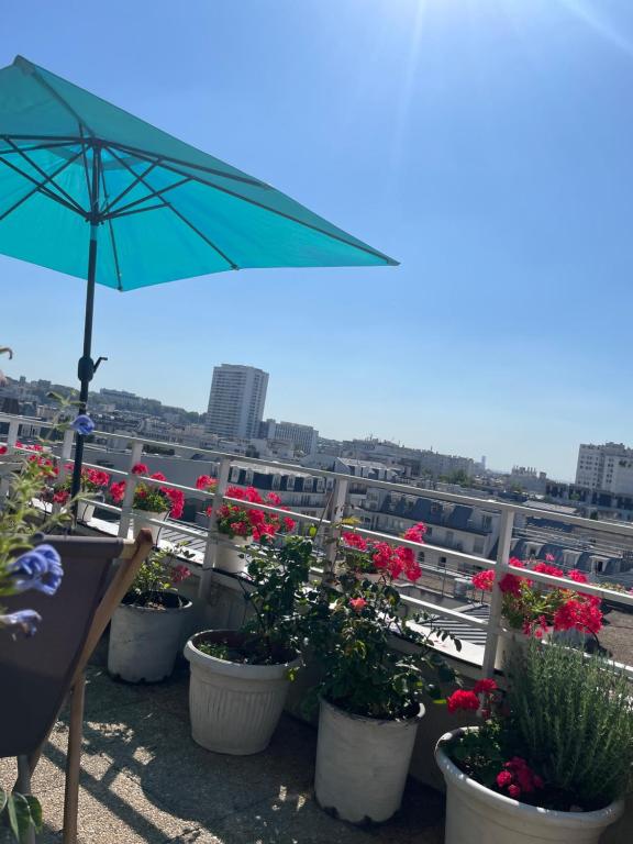 un groupe de plantes en pot sur un balcon avec un parasol dans l'établissement Trois pièces sur parc de la Villette Terrasse et vues, à Paris