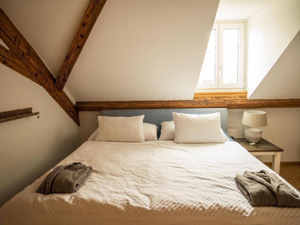 Moderne Altbauwohnung im Zentrum von Bern mit Wellness - Resim 2