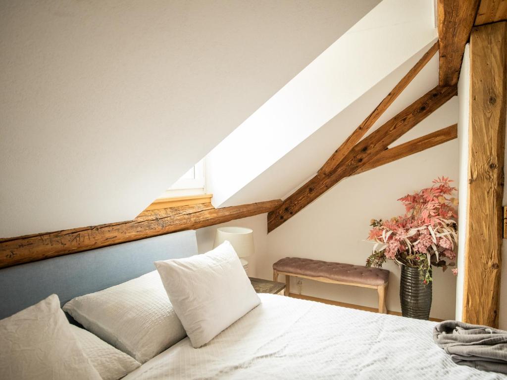 Moderne Altbauwohnung im Zentrum von Bern mit Wellness - Resim 21