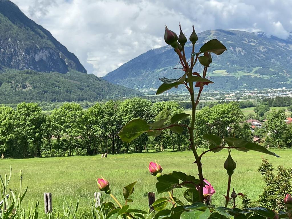 Paisaje cerca de este apartamento