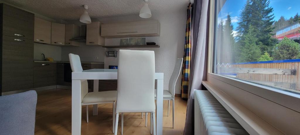 Kuchyň nebo kuchyňský kout v ubytování Appartamento Pian dei Mughi Marilleva 1400