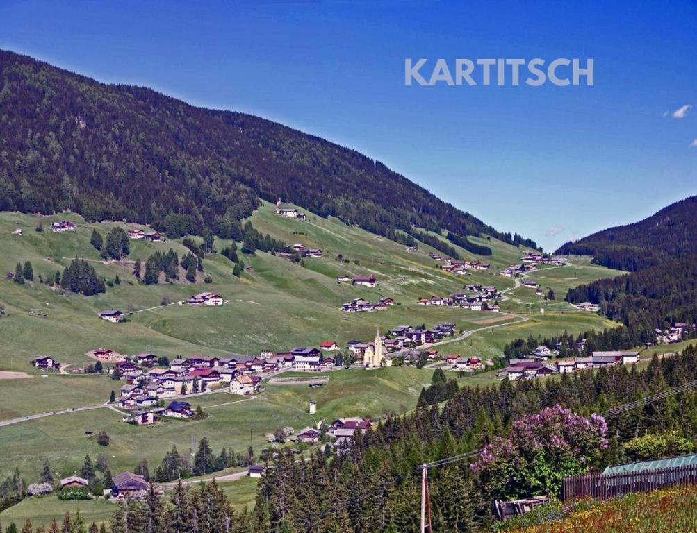 Příroda nedaleko hotelu