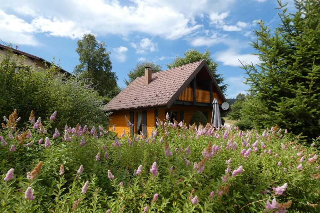 a house with a field of flowers in front of it at Chalet Le Pin à 2 pas de GERARDMER, dans la vallée des lacs in Xonrupt-Longemer