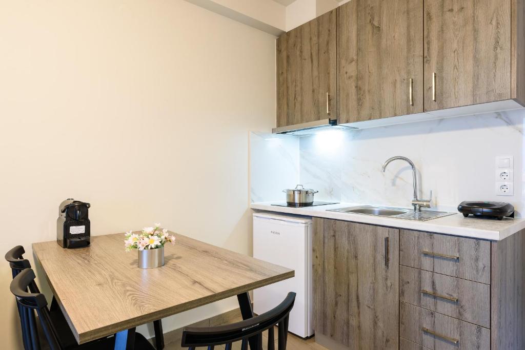 Kuchyň nebo kuchyňský kout v ubytování Philippos Residences