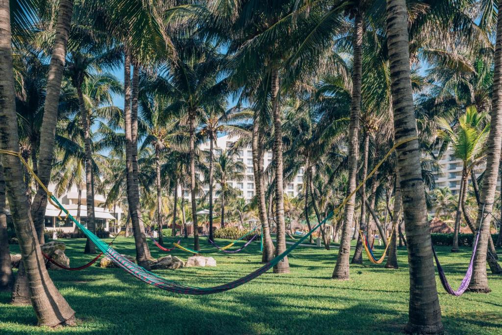 Zahrada ubytování Iberostar Selection Cancún