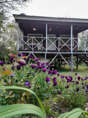a house with purple flowers in front of it at Cabaña bruji in Tigre