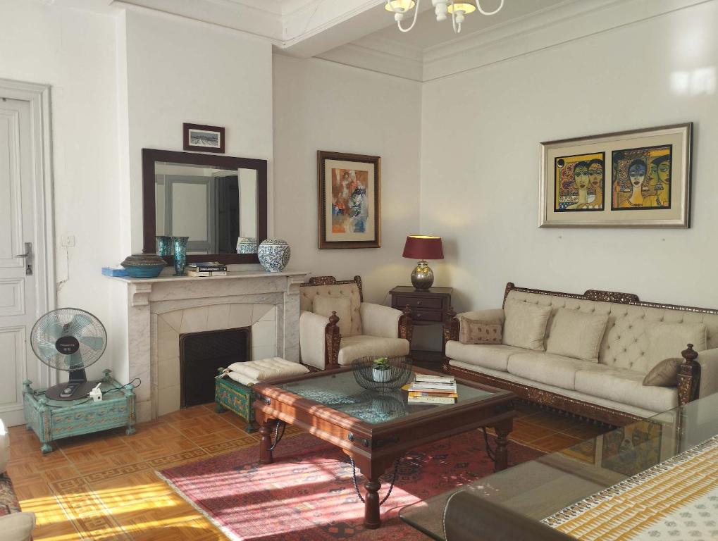 un salon avec un canapé et une cheminée dans l'établissement Chez Anne-Marie bourgeois apartment, à Carcassonne