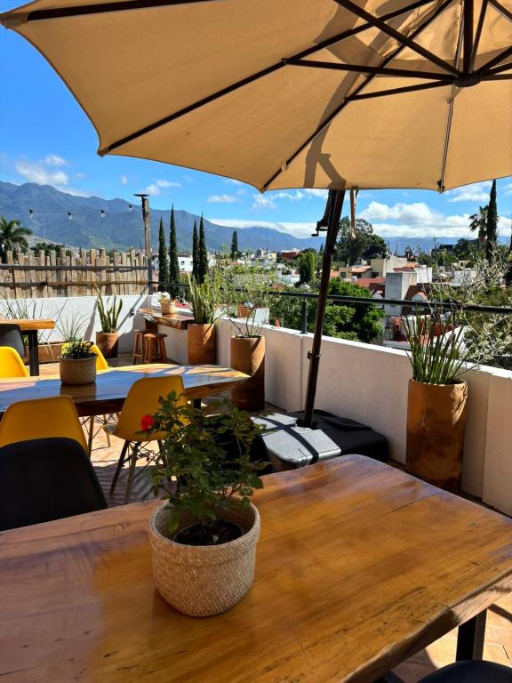 Santa Cecilia Oaxaca