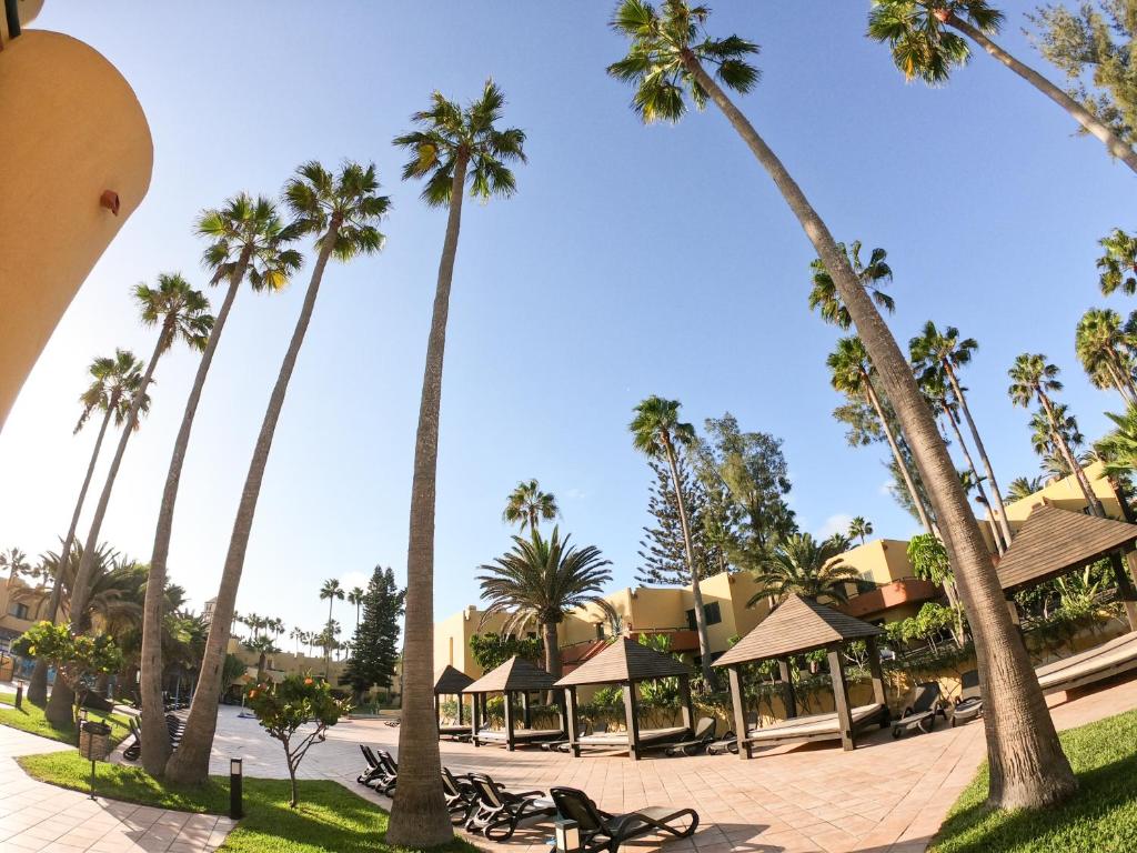 a group of palm trees in front of a resort at Drago 1 Atlantic Garden apartment in Corralejo