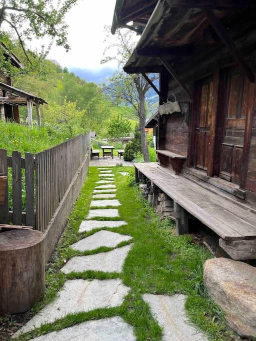 Příroda nedaleko apartmánu