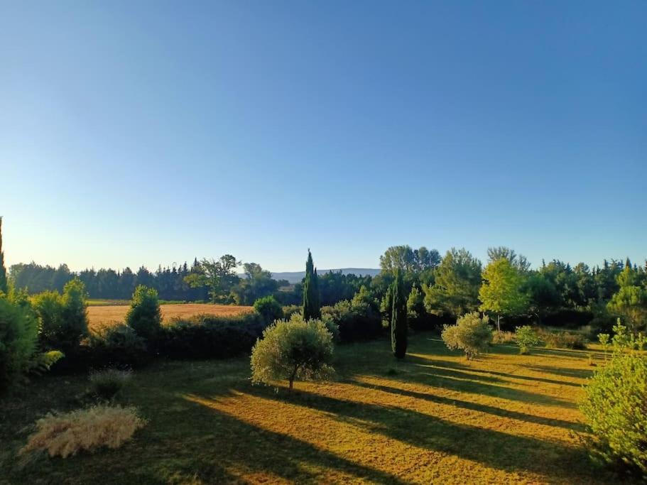 Photo de la galerie de l'établissement Villa et son parc de 9000m2, à Monteux