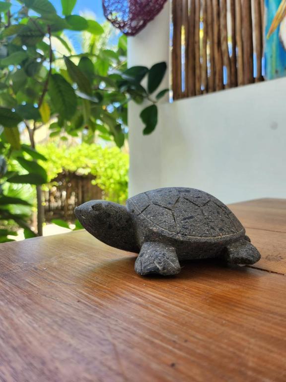 Fotografie z fotogalerie ubytování Villa Ixchel Tortugas v destinaci El Cuyo