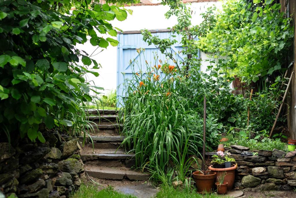 Zahrada ubytování Pferdehof-Jauerling