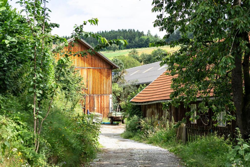 Příroda nedaleko apartmánu
