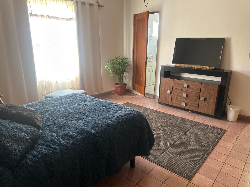 TV a/nebo společenská místnost v ubytování Casa La Minerva