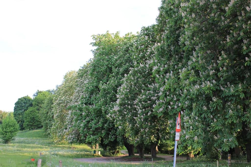 Příroda nedaleko apartmánu