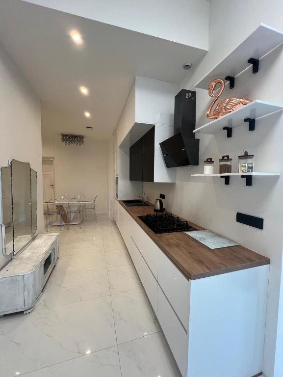 Kuchyň nebo kuchyňský kout v ubytování Wenceslas square apartment 150 m2