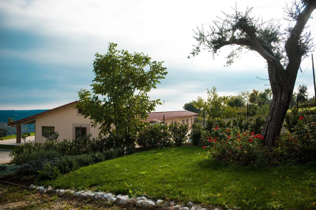 a yard with a tree and a house at Agriturismo Colle Tripio in Guardiagrele