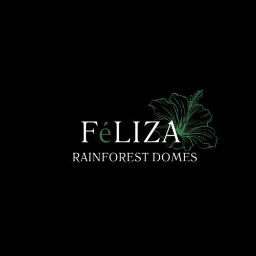 Fotografie z fotogalerie ubytování FERNANDA Dome at FéLIZA Rainforest Domes v destinaci Monteverde Costa Rica