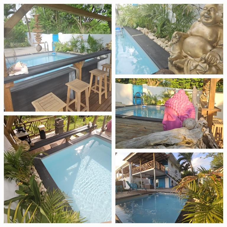 Bazén v ubytování Ti Oasis COLIBRI, 1 chambre, piscine, à 150m de la Plage nebo v jeho okolí
