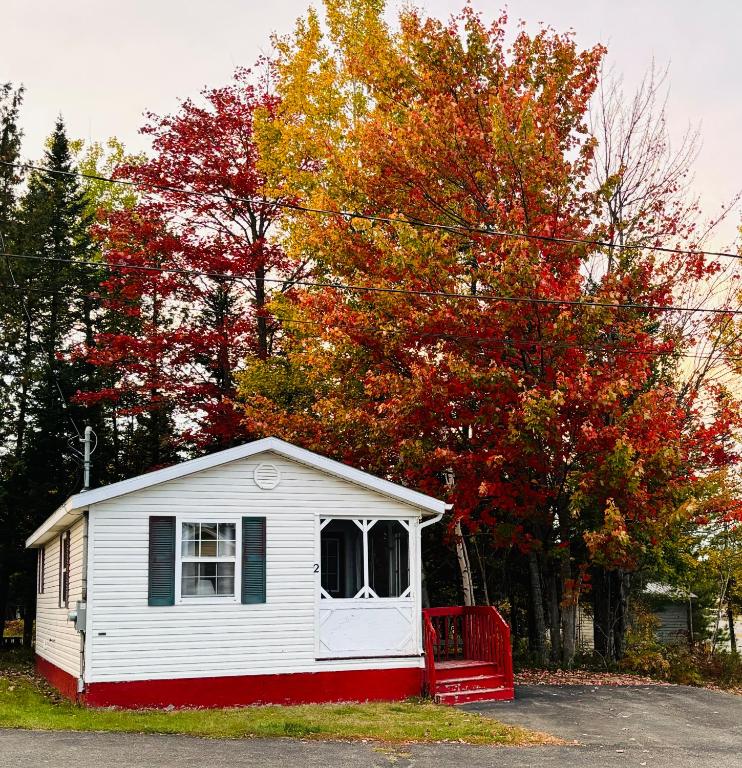 Plaster RockLakeside Stays的树前的小白色房子