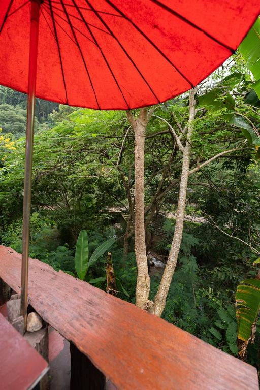 Monruamsuk Homestay Cafe and Bistro - Resim 28
