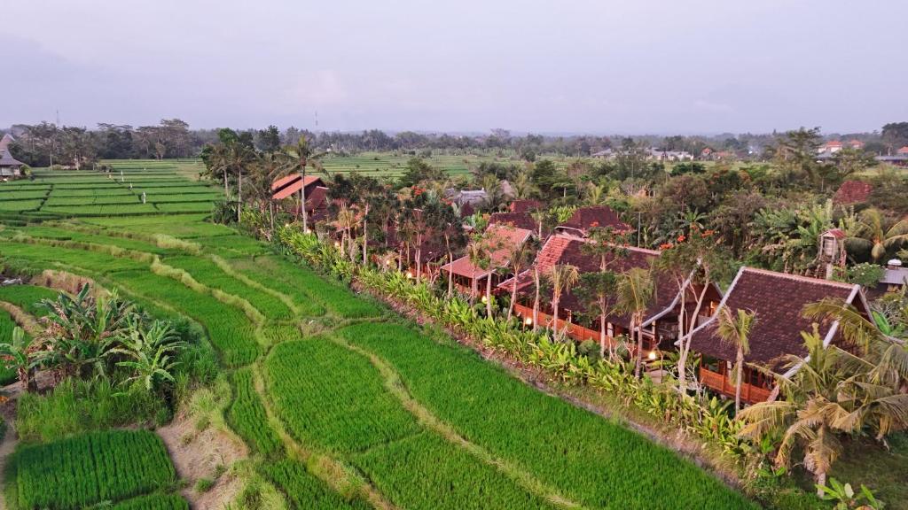 Ubud Art Resort - Wooden Deluxe Family With Rice Field View