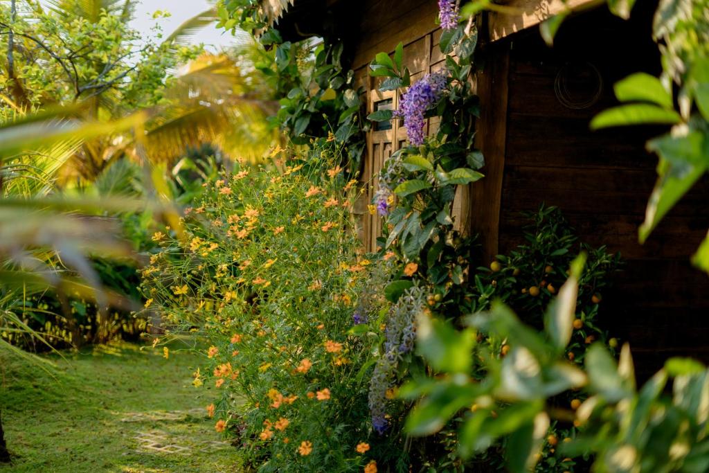 Zahrada ubytování Xóm Sình Homestay & Farmstay Buôn Ma Thuột ĐakLak