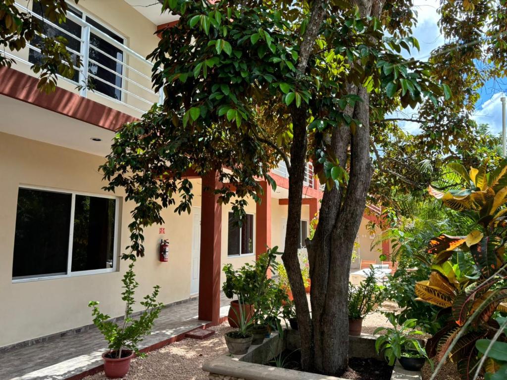 Zahrada ubytování Casa del cenote