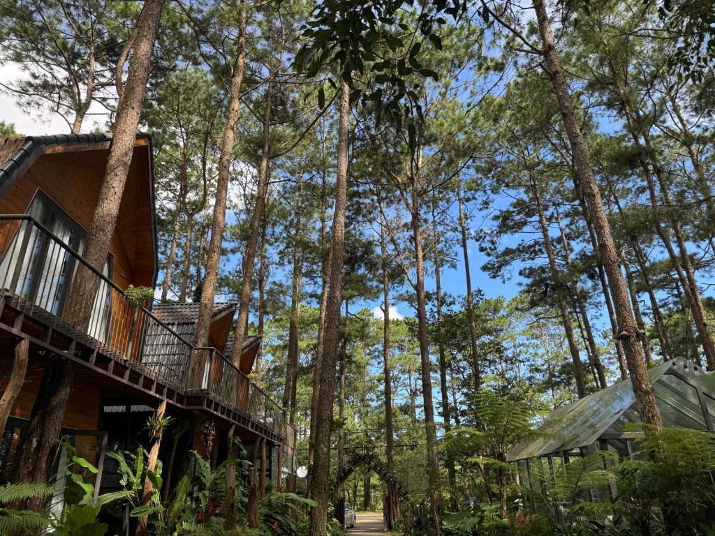 T'MĂNG ĐEENG HOMESTAY, Kon Von Kla (giá cập nhật 2025)